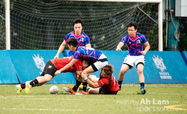 City Rugby2016 (4)