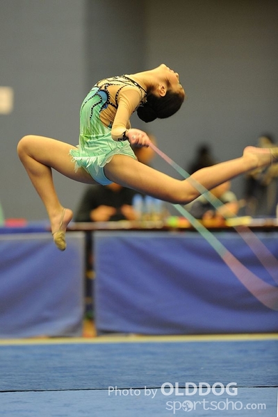 Gymnastics (91)