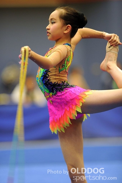 Gymnastics (95)