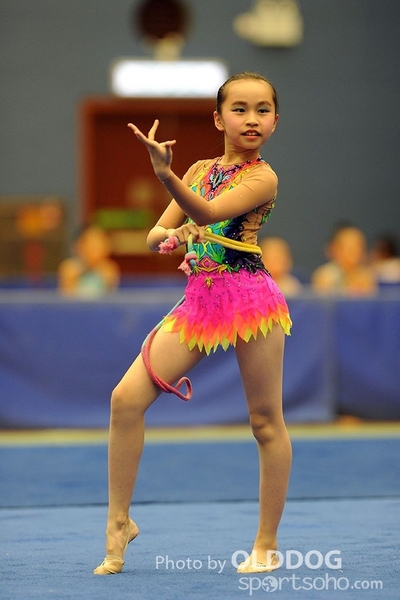 Gymnastics (96)