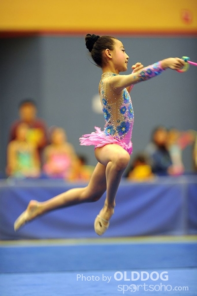 Gymnastics (105)