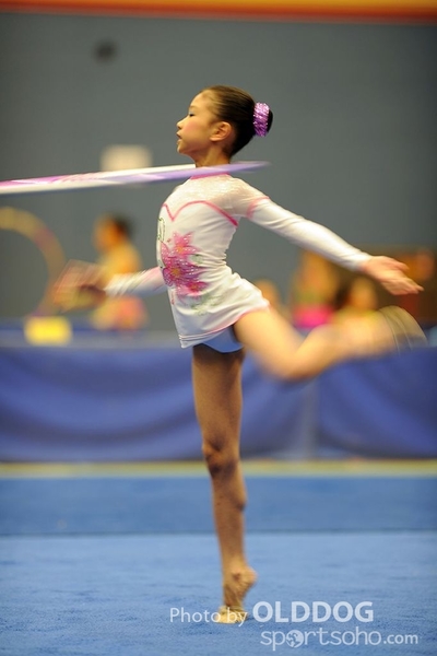 Gymnastics (175)