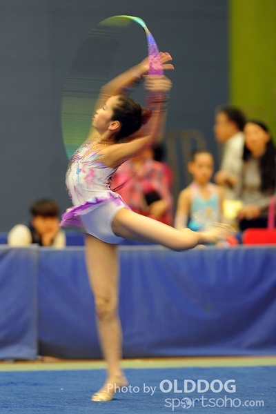 Gymnastics (178)