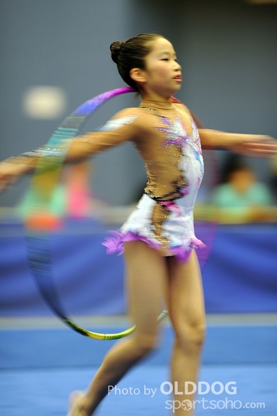 Gymnastics (179)