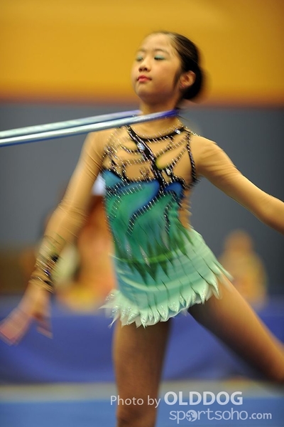 Gymnastics (206)