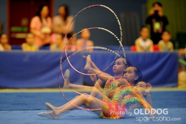 Gymnastics (208)