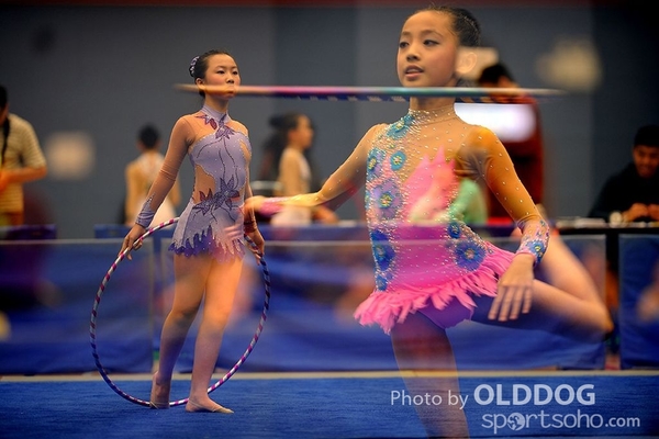 Gymnastics (211)