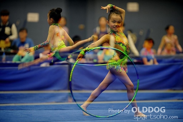 Gymnastics (212)