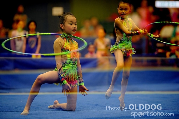 Gymnastics (213)