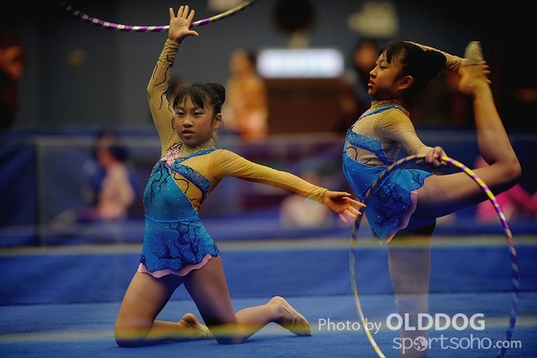 Gymnastics (217)