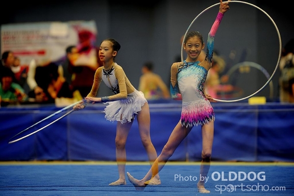 Gymnastics (218)