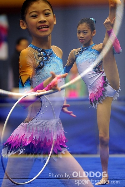 Gymnastics (219)