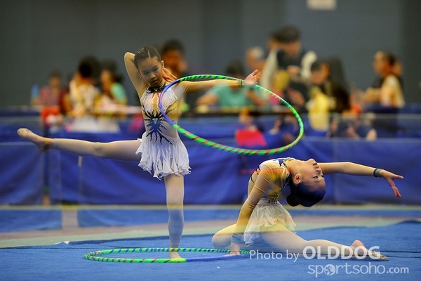 Gymnastics (220)