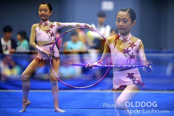 Gymnastics (223)
