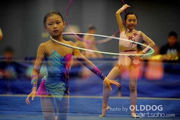 Gymnastics (224)