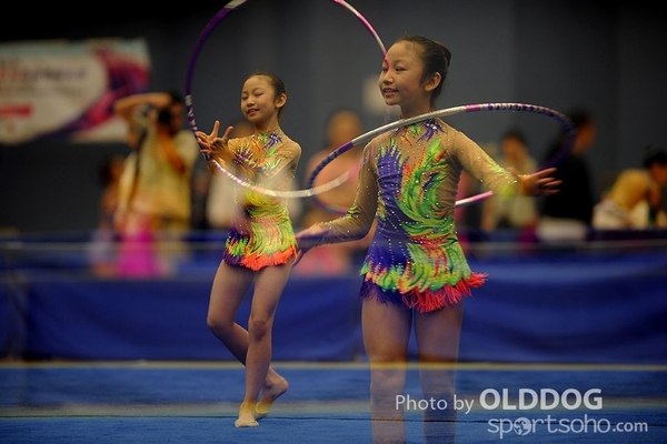 Gymnastics (225)