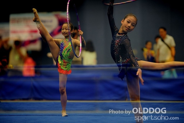 Gymnastics (226)
