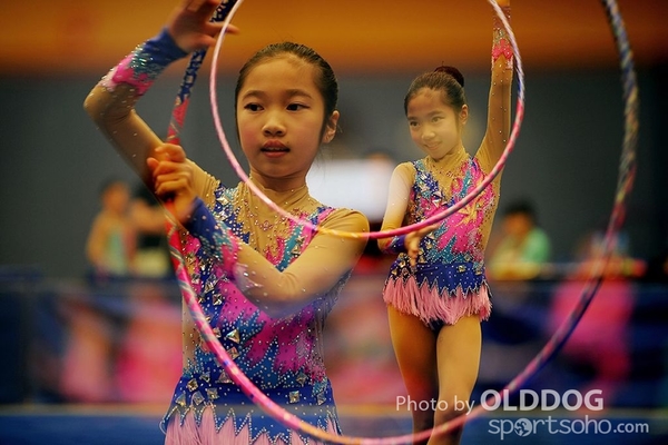 Gymnastics (227)