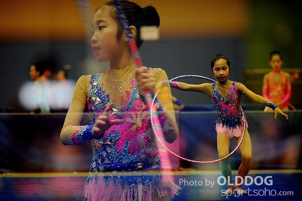 Gymnastics (228)