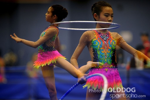 Gymnastics (229)