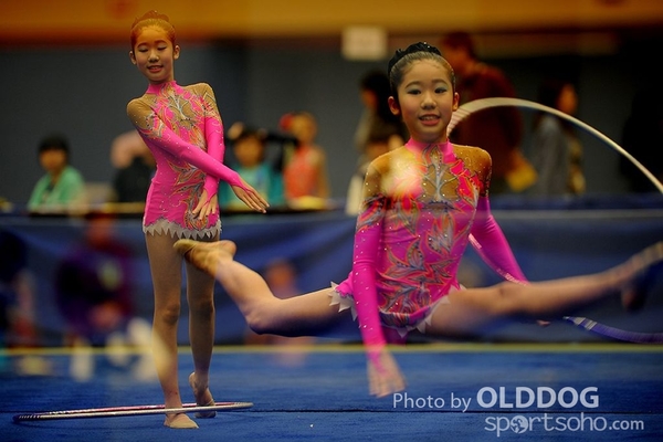 Gymnastics (230)