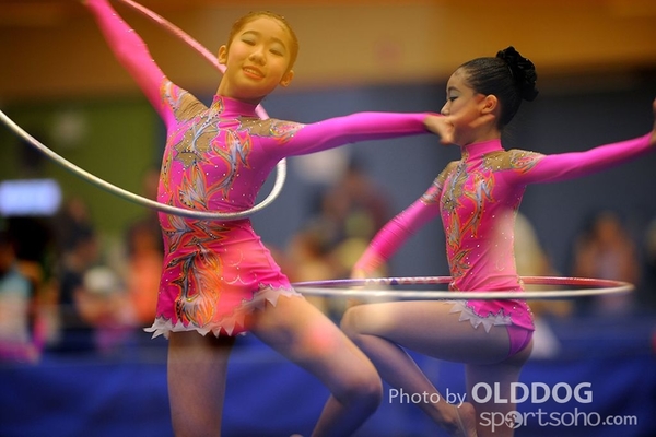 Gymnastics (231)