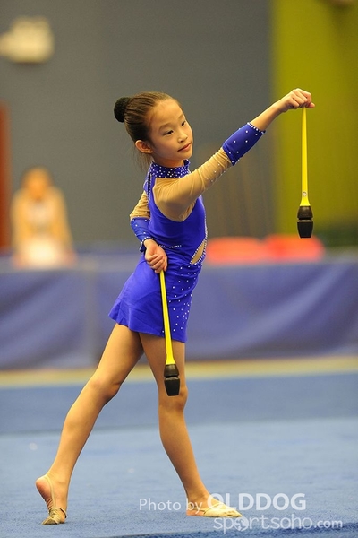 Gymnastics (232)