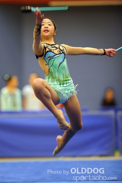 Gymnastics (261)
