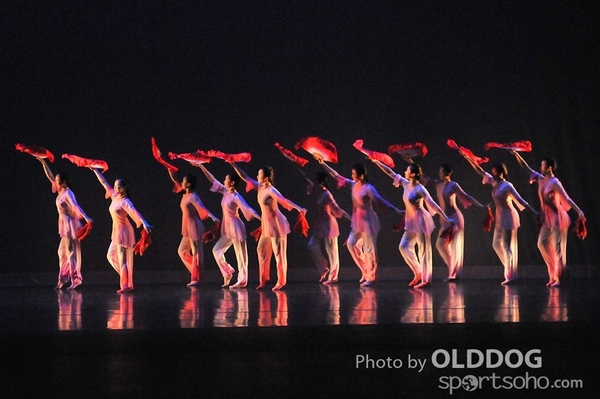 Dance Award (20)