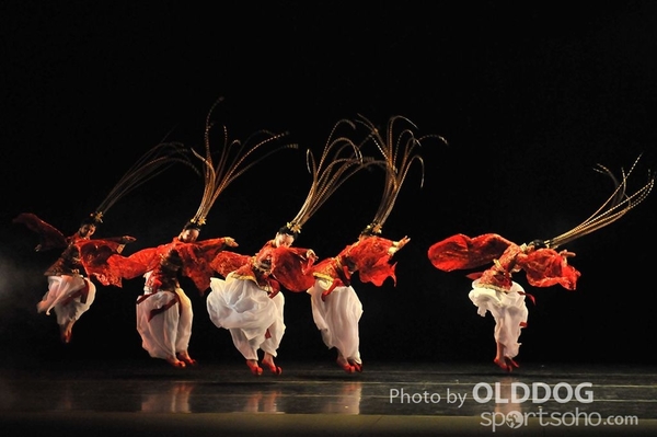 Dance Award (28)
