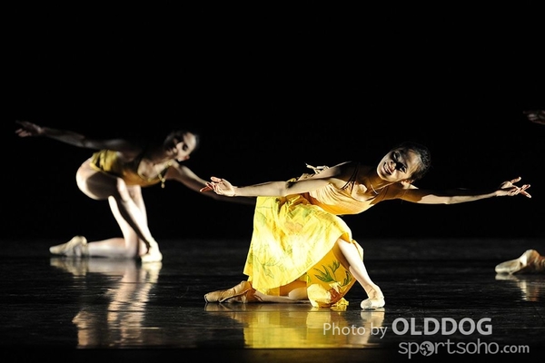 Dance Award (69)