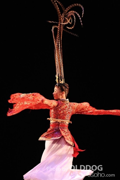 Dance Award (144)