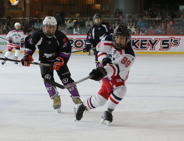 Icefox (5)