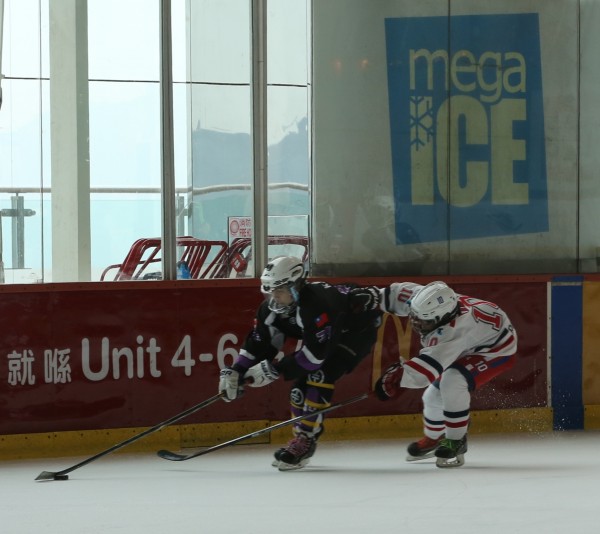 Icefox (7)