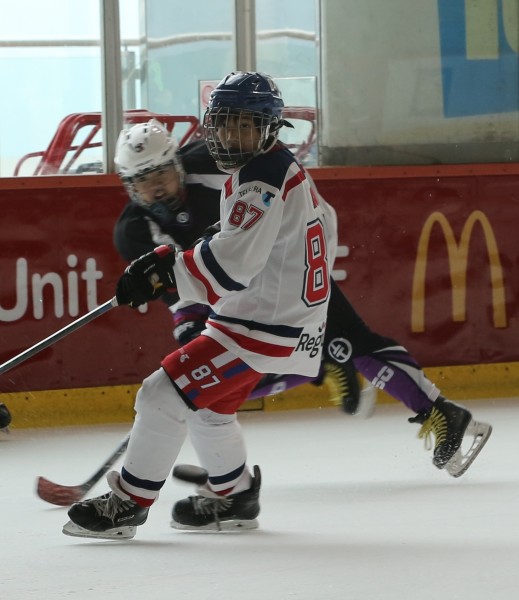 Icefox (8)