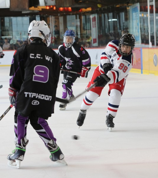 Icefox (10)