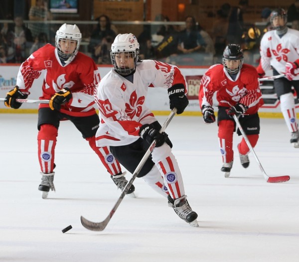 Icefox (13)