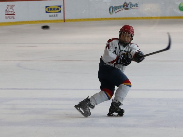 Icefox (15)