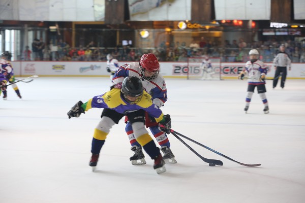Icefox (17)