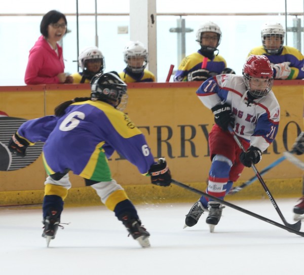 Icefox (18)