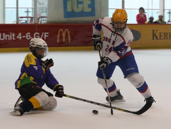Icefox (19)