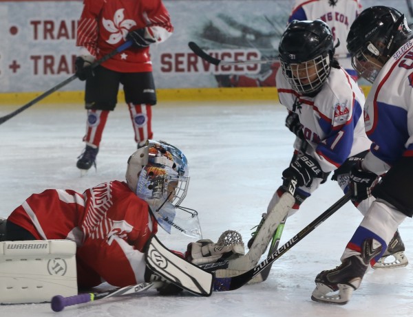 Icefox (20)