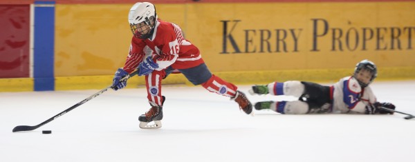Icefox (22)
