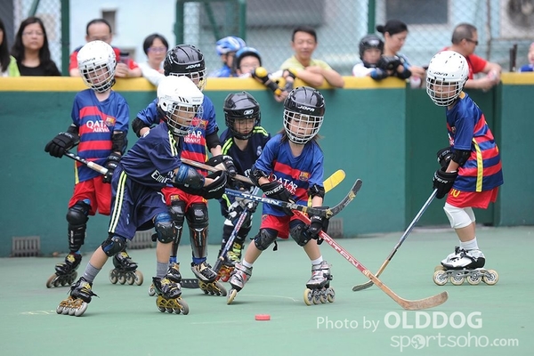 Hockey (6)