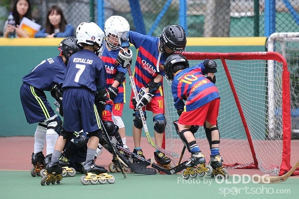 Hockey (9)