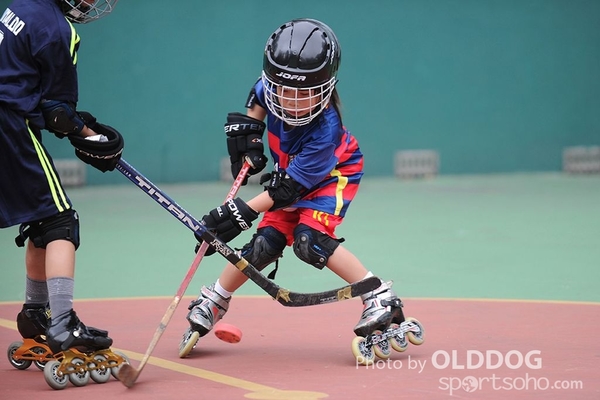 Hockey (10)