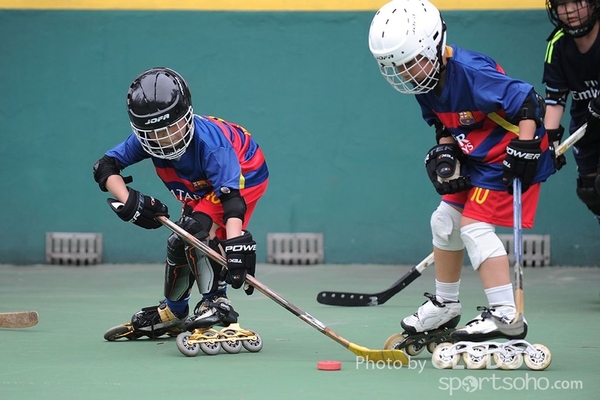 Hockey (12)