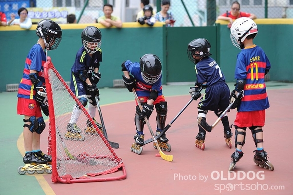Hockey (13)