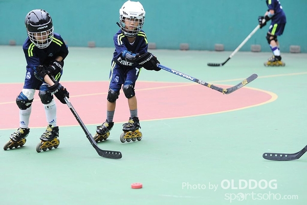 Hockey (14)