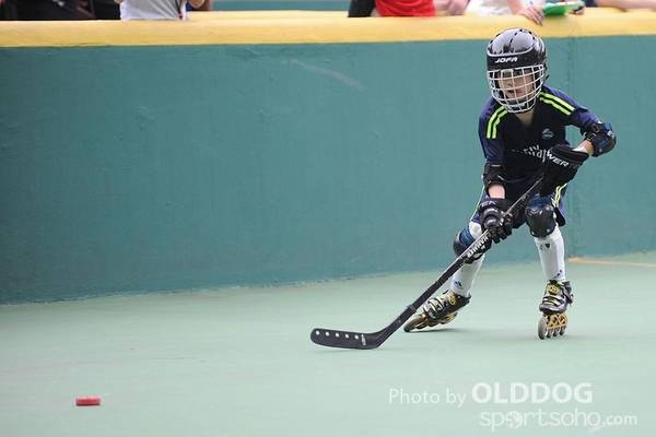 Hockey (19)